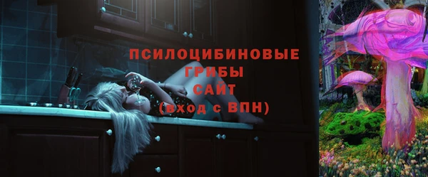 гашик Арсеньев