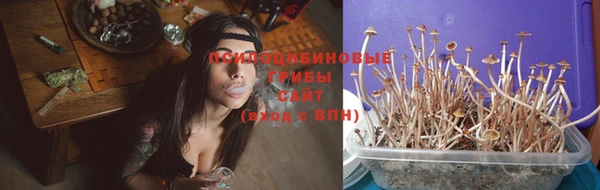 марки nbome Аркадак