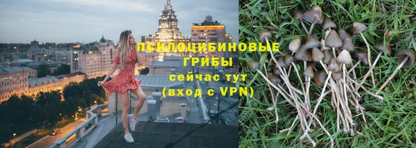 мдпв Медвежьегорск