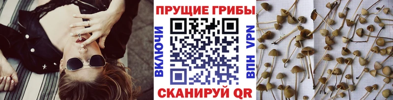 Галлюциногенные грибы ЛСД  что такое наркотик  Темрюк 